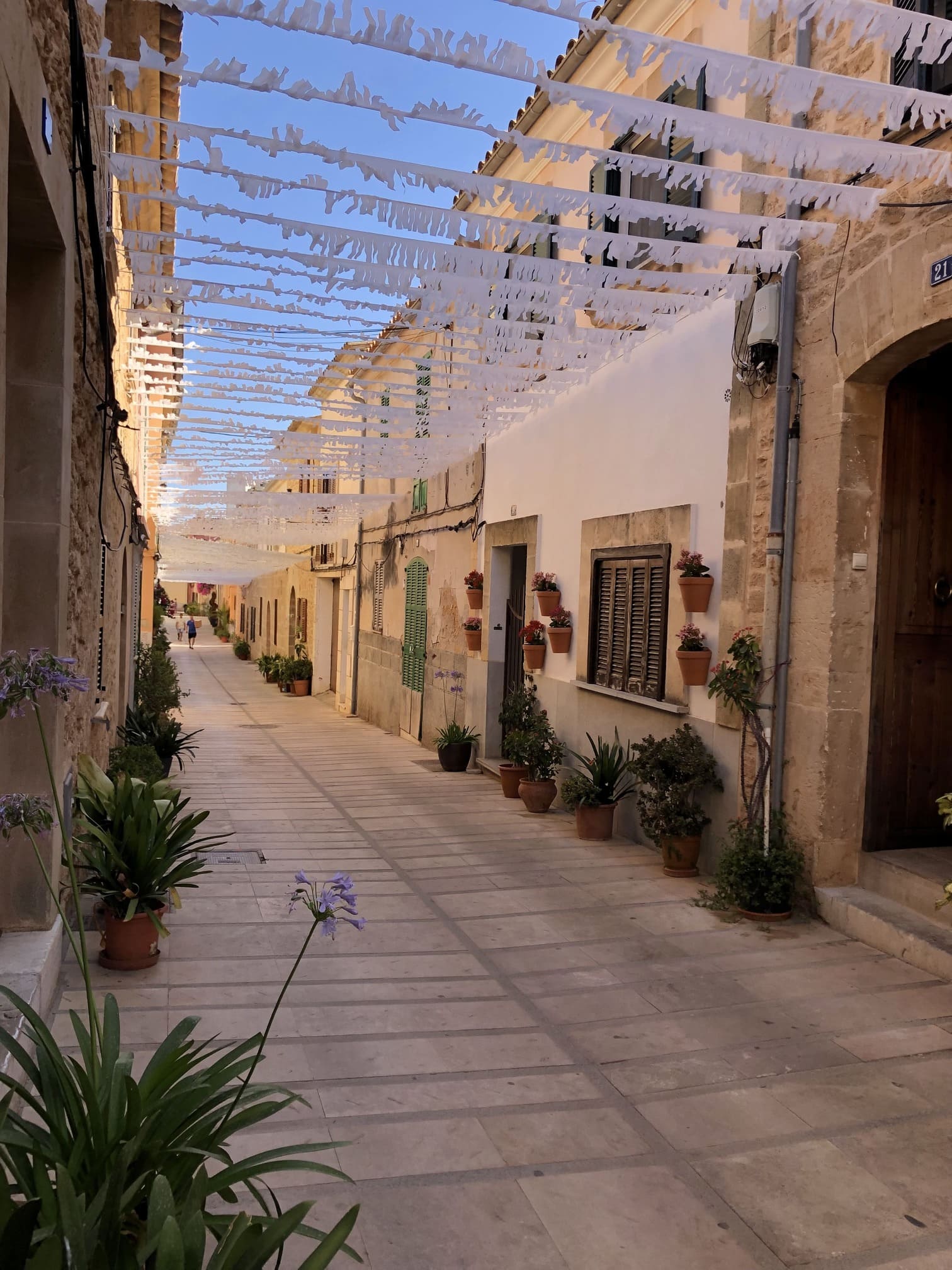 Con casas con mucha historia Alcudia y sus casas típicas mallorquinas