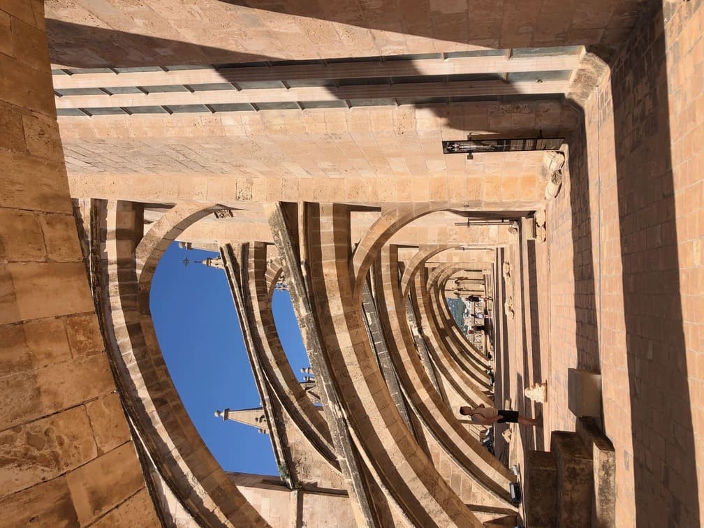 Visita sus terrazas Catedral de Palma de Mallorca, vista de sus terrazas